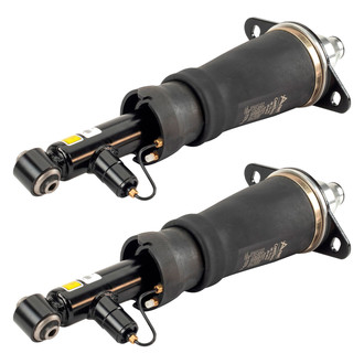 Arnott® - Rear Strut Set