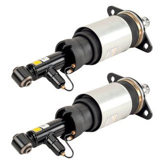 Arnott® - Rear Strut Set