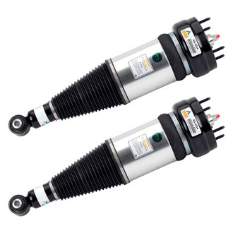 Arnott® - Rear Strut Set