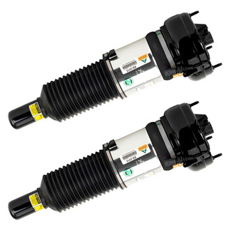 Arnott® - Front Strut Set