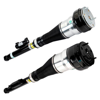 Arnott® - Rear Strut Set