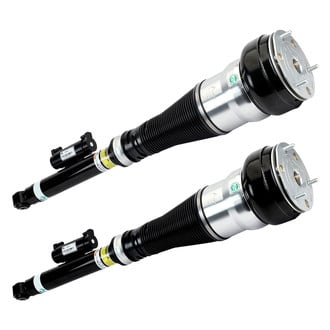 Arnott® - Rear Strut Set