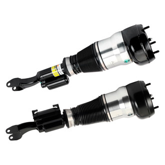Arnott® - Front Strut Set
