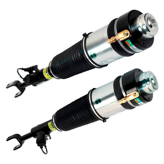 Arnott® - Front Air Twin-Tube Non-Adjustable Strut