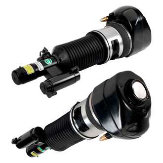 Arnott® - Front Strut Set