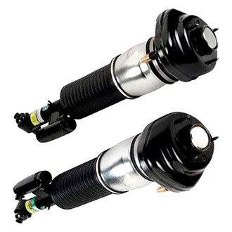 Arnott® - Rear Strut Set