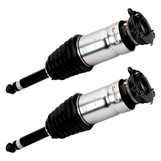 Arnott® - Rear Strut Set