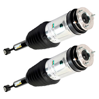 Arnott® - Rear Strut Set
