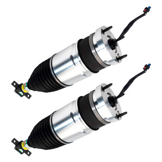 Arnott® - Front Strut Set
