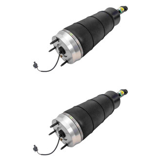 Arnott® - Rear Strut Set