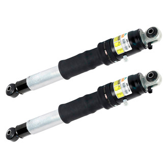 Arnott® - Rear Shock Absorber Set