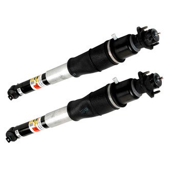 Arnott® - Rear Shock Absorber Set