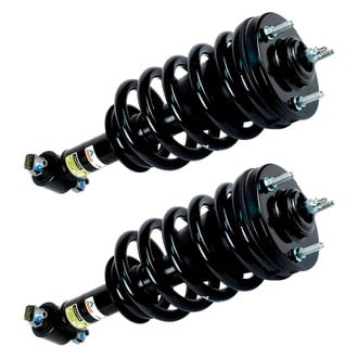 Arnott® - Front Strut Set