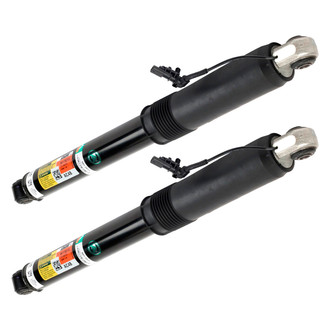 Arnott® - Rear Shock Absorber Set