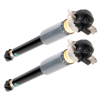 Arnott® - Rear Shock Absorber Set