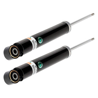 Arnott® - Rear Shock Absorber Set