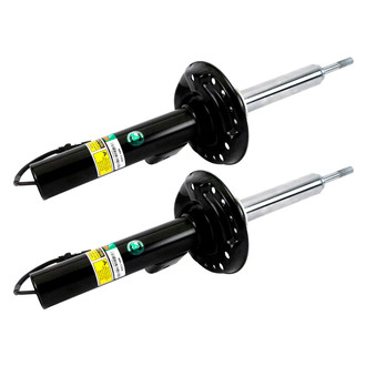Arnott® - Shock Absorber