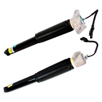 Arnott® - Rear Shock Absorber Set