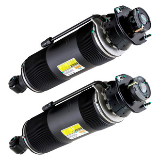 Arnott® - Rear ABC Strut Set