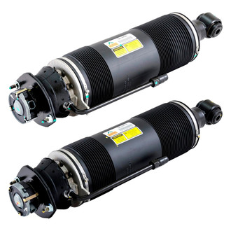 Arnott® - Rear ABC Strut Set
