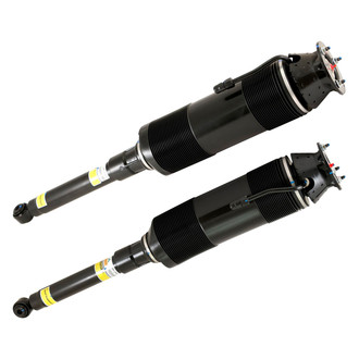 Arnott® - ABC Strut