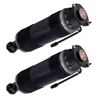 Arnott® - Rear ABC Strut Set