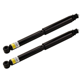 Arnott® - Rear Shock Absorber Set