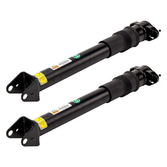 Arnott® - Rear Shock Absorber Set