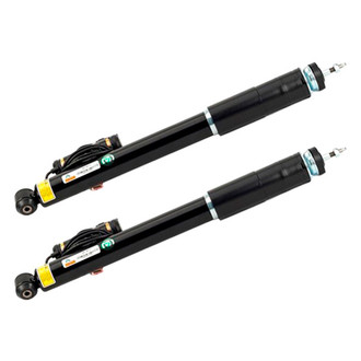 Arnott® - Rear Strut