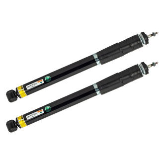 Arnott® - Rear Strut Set