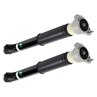 Arnott® - Rear Strut