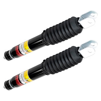 Arnott® - Front Shock Absorber Set