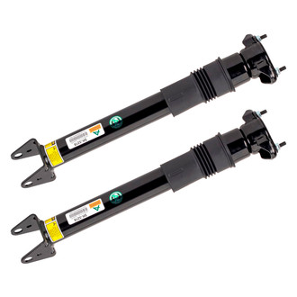 Arnott® - Rear Strut Set