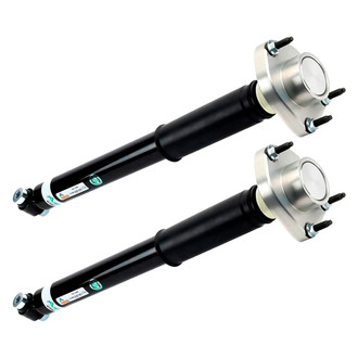 Arnott® - Rear Shock Absorber Set