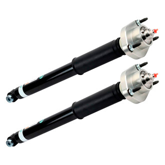 Arnott® - Rear Shock Absorber Set