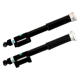 Arnott® - Rear Strut Set