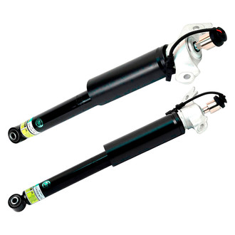 Arnott® - Rear Shock Absorber Set