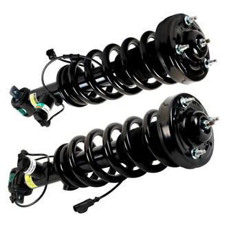 Arnott® - Complete Strut Assembly