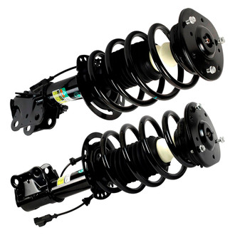 Arnott® - Complete Strut Assembly