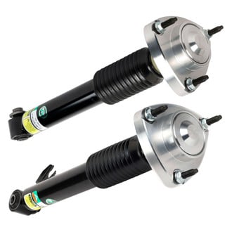 Arnott® - Complete Strut Assembly