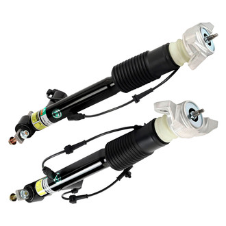 Arnott® - Rear Strut Set