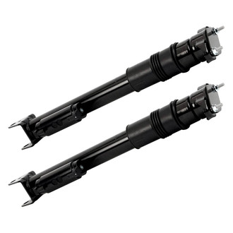 Arnott® - Rear Shock Absorber Set