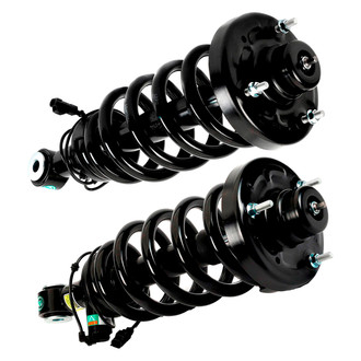 Arnott® - Rear Strut Set