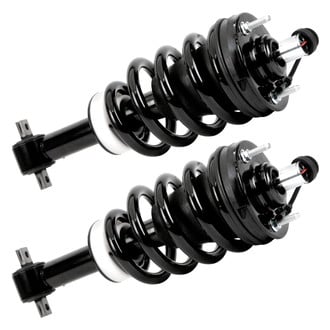 Arnott® - Front Strut Set