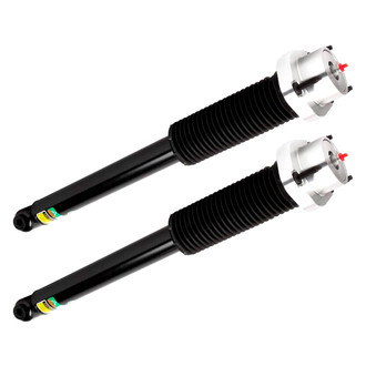Arnott® - Rear Shock Absorber Set