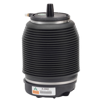 Arnott® - Rear Air Spring
