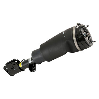 Arnott® - Front Passenger Side Air Twin-Tube Non-Adjustable Strut