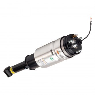 Arnott® - Air Strut