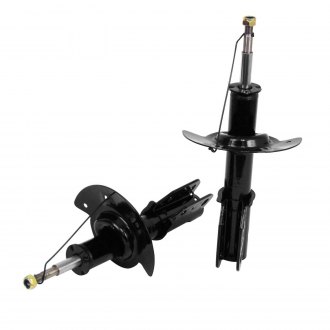 Arnott® - Front Struts