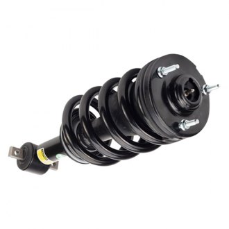 Arnott® - Complete Strut Assembly